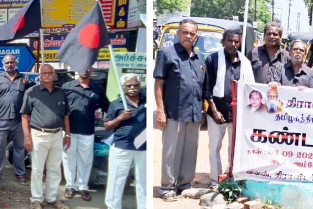 திராவிட மாணவர்