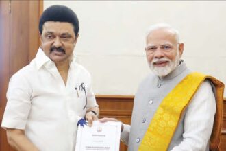 அரசு, தமிழ்நாடு
