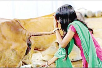பிற இதழிலிருந்து...