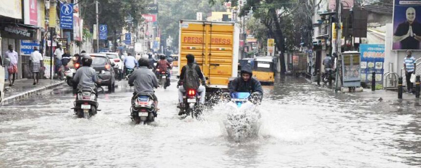 அரசு, தமிழ்நாடு