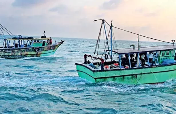 சிறப்புக் கட்டுரை