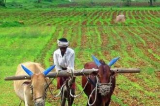 தமிழ்நாடு, திராவிடர் கழகம்