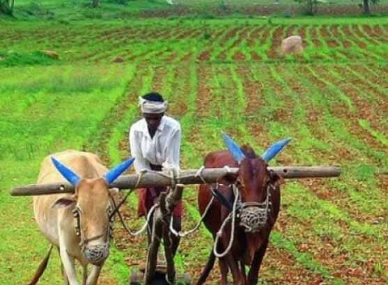 தமிழ்நாடு