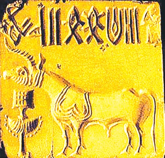 ஞாயிறு மலர்