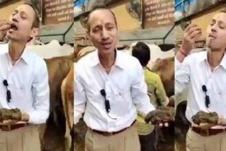 ஞாயிறு மலர்