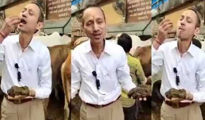 ஞாயிறு மலர்