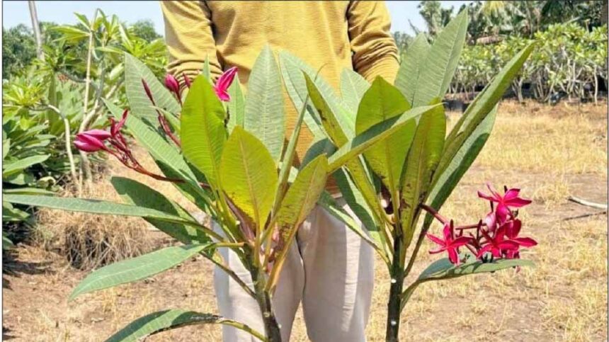 தமிழ்நாடு