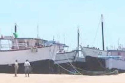 வெங்காயம்