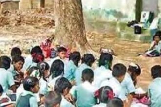 இந்தியா, தமிழ்நாடு