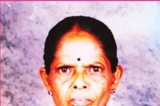 ஞாயிறு மலர்