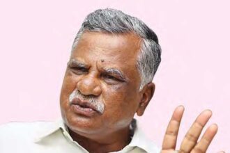 அரசு, தமிழ்நாடு