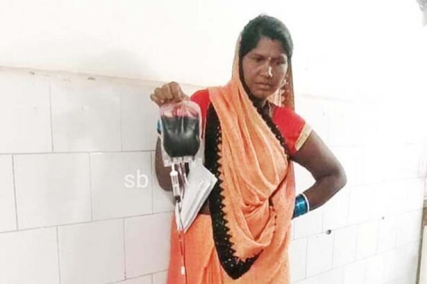 ஞாயிறு மலர்