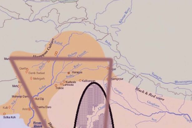 ஞாயிறு மலர்