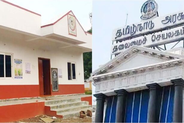 அரசு, தமிழ்நாடு