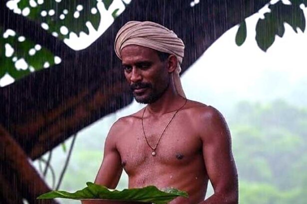 ஞாயிறு மலர்