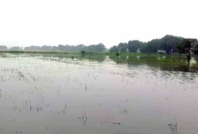 தமிழ்நாடு