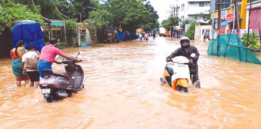 ஆசிரியர் விடையளிக்கிறார், ஞாயிறு மலர்