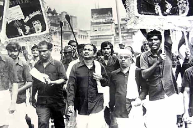 கட்டுரை, ஞாயிறு மலர்