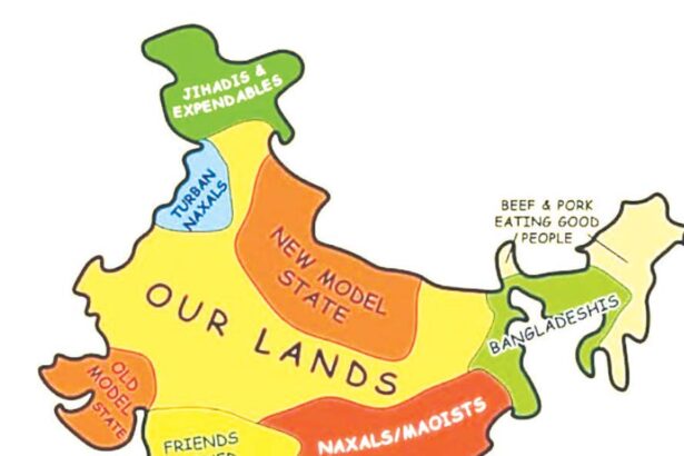 கட்டுரை, ஞாயிறு மலர்
