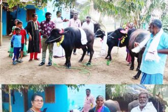 திராவிடர் கழகம்