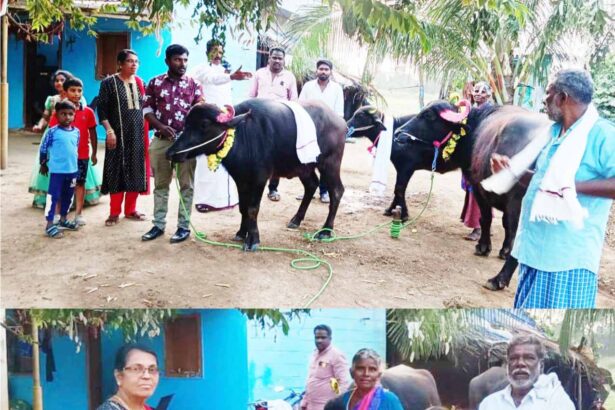 திராவிடர் கழகம்