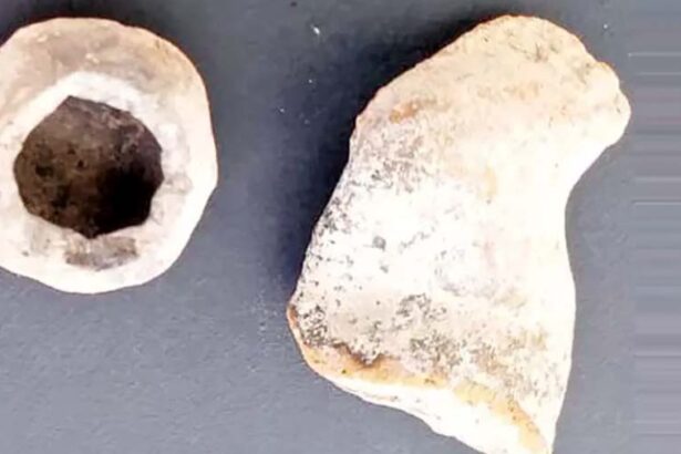 தமிழ்நாடு