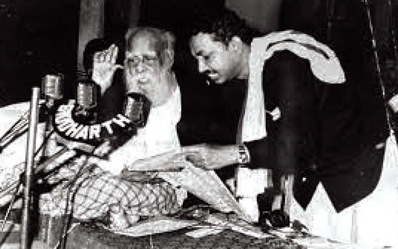 கட்டுரை, ஞாயிறு மலர்