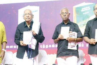 சிந்துவெளி நாகரிகம்