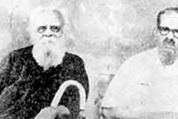 கட்டுரை, ஞாயிறு மலர்