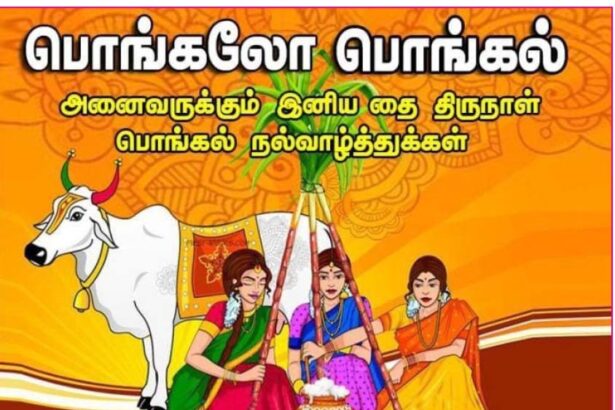 பொங்கல் வாழ்த்து