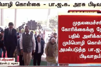 அரசு, தமிழ்நாடு