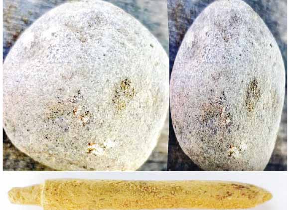 தமிழ்நாடு