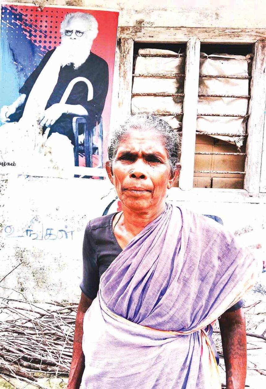 ஞாயிறு மலர்