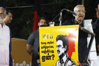 அரசு, தமிழ்நாடு