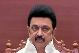அரசு, தமிழ்நாடு