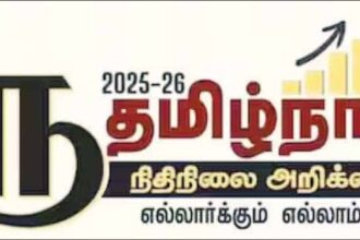 அரசு, தமிழ்நாடு