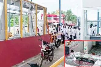 அரசு, தமிழ்நாடு