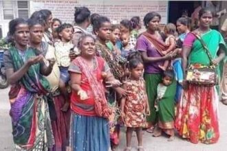 அரசு, தமிழ்நாடு