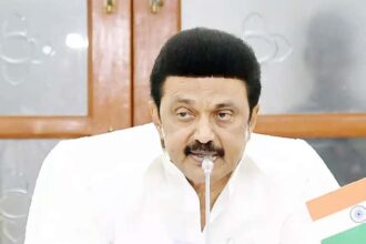 அரசு, தமிழ்நாடு