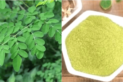 அன்பரசன்