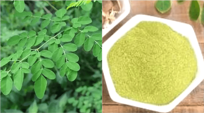 இளைஞர் அரங்கம், தமிழ்நாடு