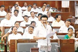 அரசு, தமிழ்நாடு