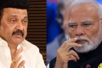 இந்தியா, தமிழ்நாடு