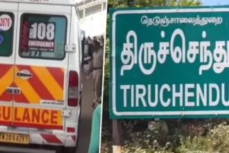 அரசு, தமிழ்நாடு