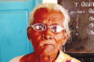 ஞாயிறு மலர்