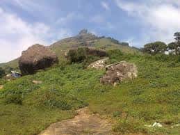 தமிழ்நாடு, மற்றவை