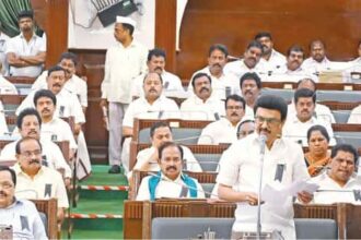 அரசு, இந்தியா, தமிழ்நாடு