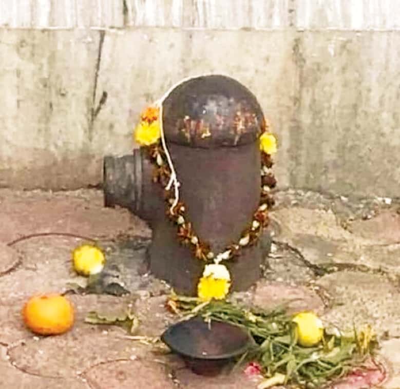 ஞாயிறு மலர்