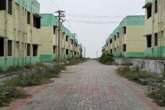 அரசு, தமிழ்நாடு