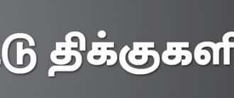 ஏட்டுத் திக்குகளிலிருந்து...